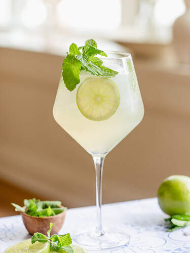 The Hugo Prosecco Cocktail Recipe